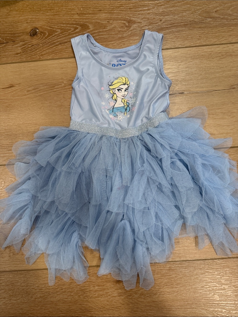 Disney Elsa Light Blue Layered Tulle Costume Dress